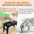 Elevated Dog Bowls of STF9 5 Height Adjustable, HenFit Feeder Dog Bowls