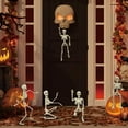 thumbnail image 6 of TETOU 2Pcs Skeleton Hallowe'en Decorations, 14.5" Realistic Full Body Movable Posable Joints Skeleton, Creepy Plastic Skeleton for Hallowe'en Party Haunted House Props Indoor Outdoor Decor-White, 6 of 7