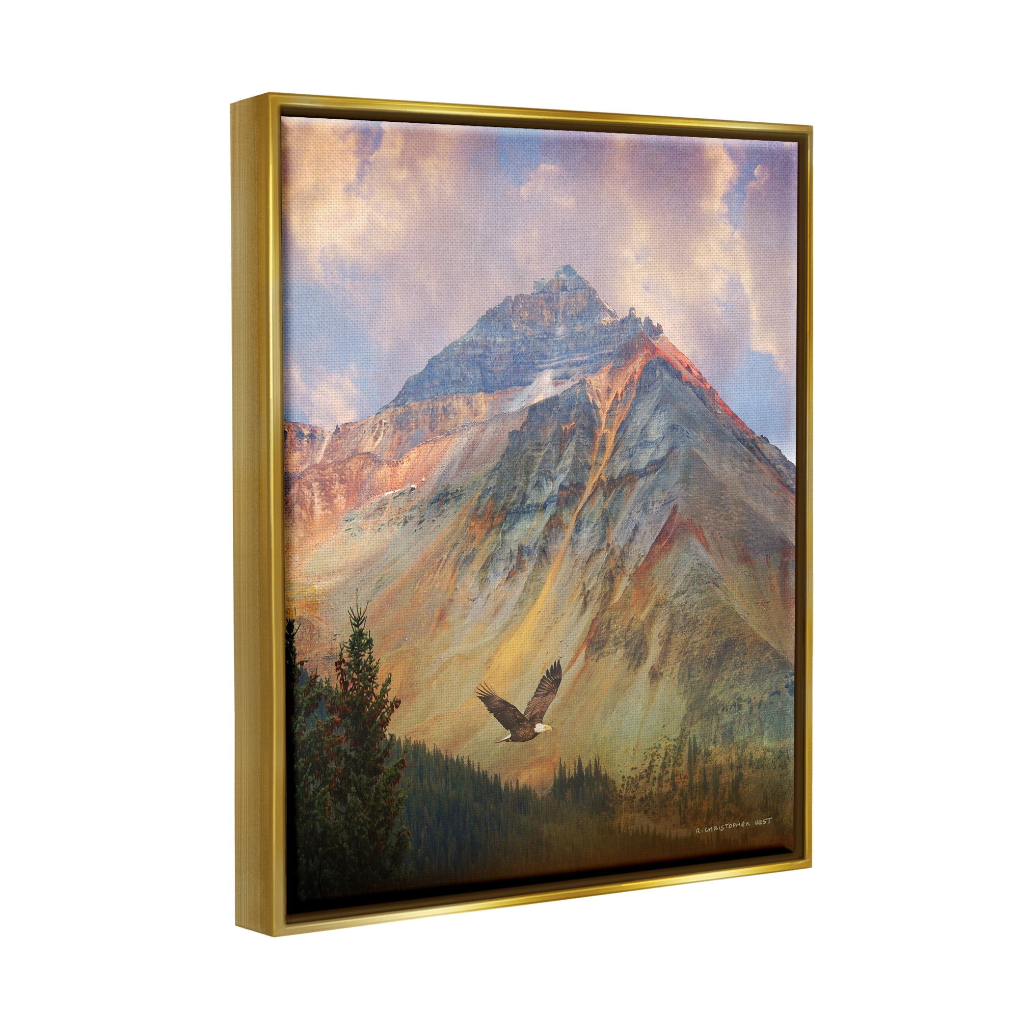 Stupell Soaring Eagle Mountain Valley Landscape Photography Gold Floater Framed Art Print Wall Art