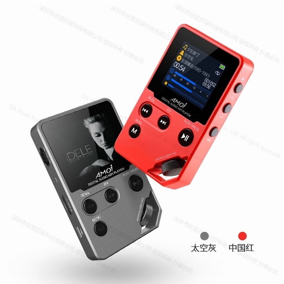 C10 16GB Hifi Stereo Music MP3 Player HD Lossless Mini Sports Jogging DAC MP4 Support Radio TF DSD eBook Recorder Trackwheel Walkman