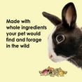 thumbnail image 4 of Kaytee Food from The Wild Rabbit Food, 4 Pounds, 4 of 11