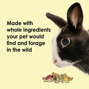 Kaytee Food from The Wild Rabbit Food, 4 Pounds
