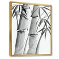 thumbnail image 3 of Designart 'Vintage Black and White Bamboo IV' Traditional Framed Canvas Wall Art Print, 3 of 5