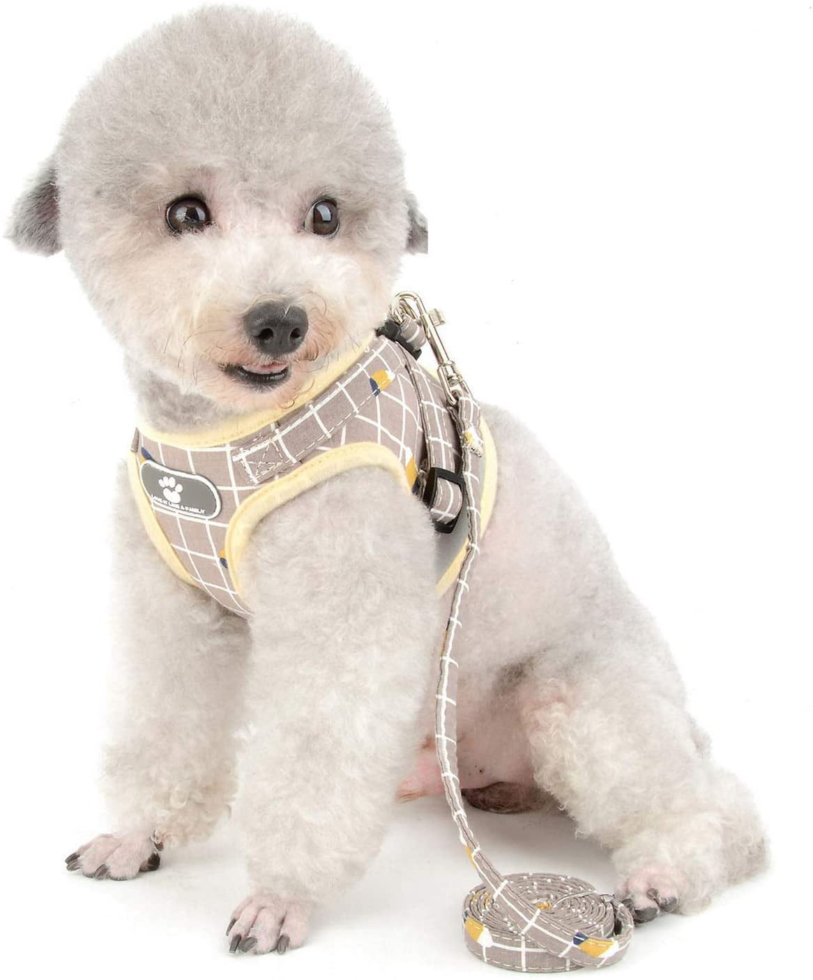 toy poodle harness