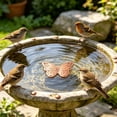 thumbnail image 1 of Bird Bath Plate Decorative Purification Plate with Support Points Natural All Weather Water Suitable for Outdoor Bird Bath Tubs and Bowls Multiple Choices, 1 of 5
