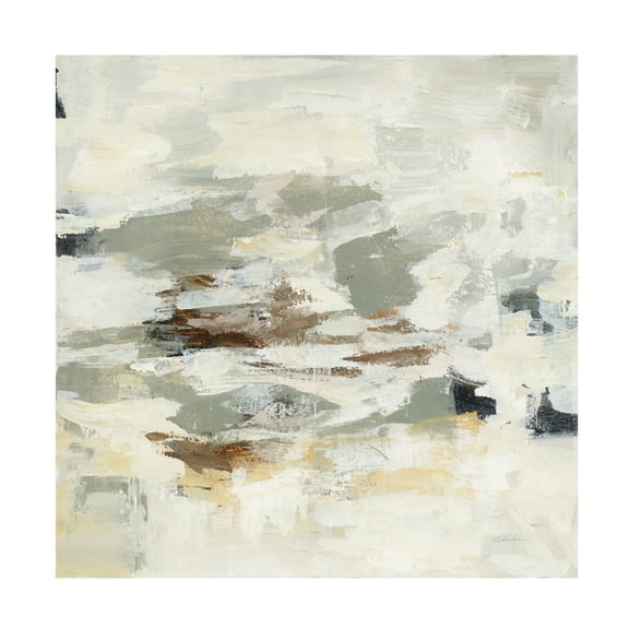 Trademark Fine Art 'Steps on Stones II' Canvas Art by Silvia Vassileva