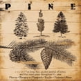 thumbnail image 2 of Grey, Jace 15x15 Black Ornate Wood Framed with Double Matting Museum Art Print Titled - Pine Burnt, 2 of 4