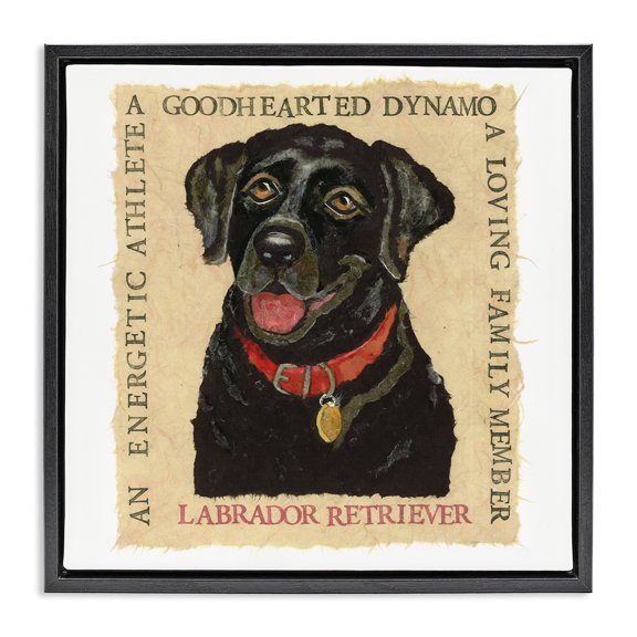 Stupell Industries Fun Black Labrador Phrases Animals Painting Black Floater Framed Canvas Art Print Wall Art, 18 x 18