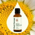 thumbnail image 3 of Plant Therapy Roman Chamomile Essential Oil 100% Pure, Undiluted, Natural Aromatherapy 30 mL (1 oz), 3 of 9