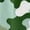 Green&&100, variant on CONROSES Baby Boys Summer Outfit Set Camouflage Short Sleeve T-Shirt Shorts Clothes Sets for Kids, Sizes 4-5 Years