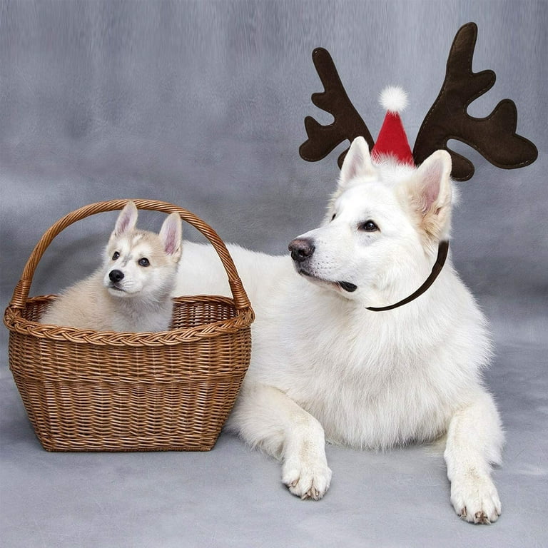 Dog Christmas Reindeer Antlers Headband Classic Elk Hat Headwear Pet Costumes Accessories Walmart