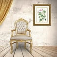 thumbnail image 3 of Redoute, Pierre Joseph 14x18 Gold Ornate Wood Framed with Double Matting Museum Art Print Titled - Wild Rose, Rosebush with small flowers, Rosa parviflora, 3 of 4