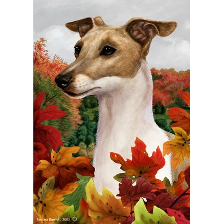 Italian Greyhound Fawn/White - Best of Breed Fall Leaves Garden