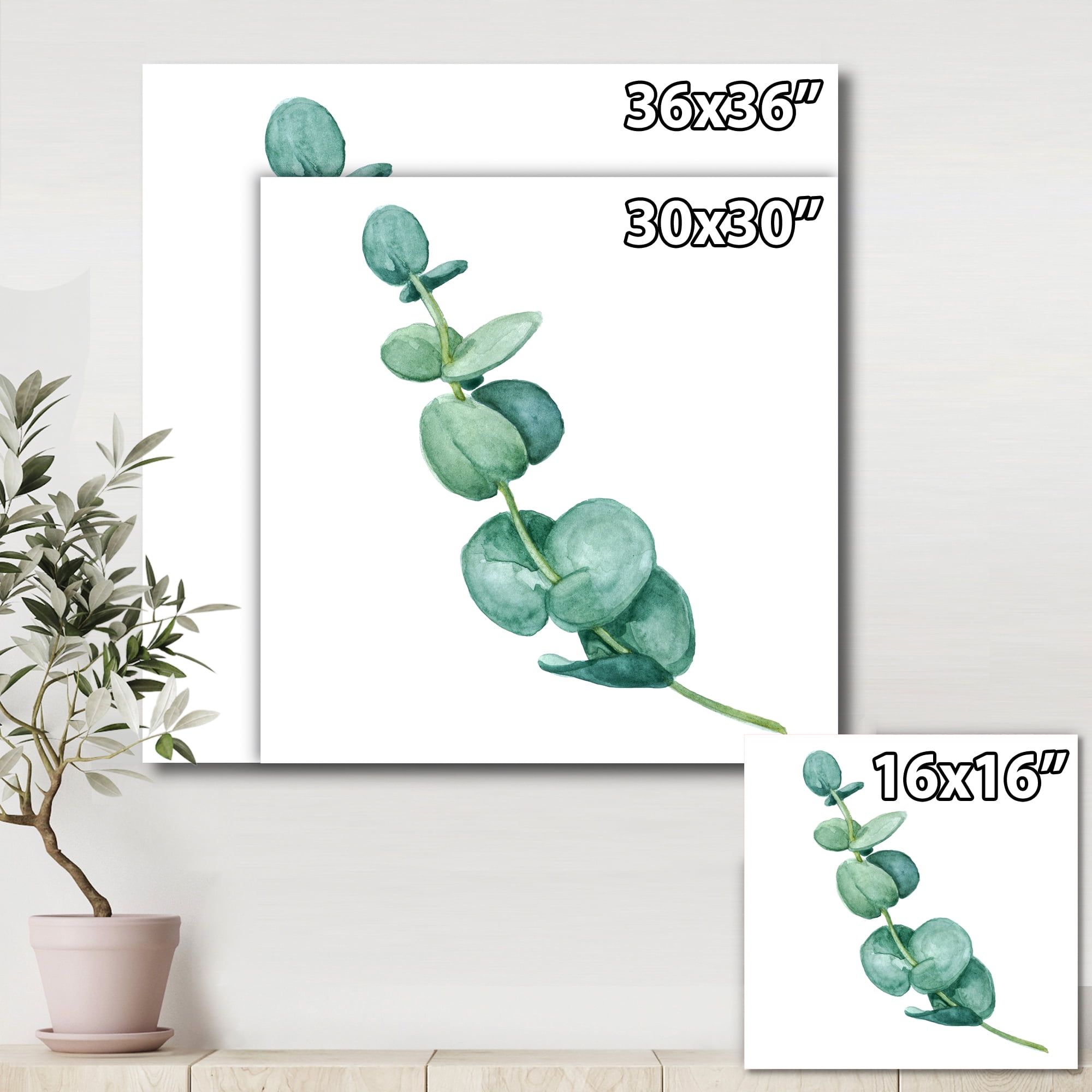 Designart ' Young Eucalyptus Branches and Leaves II ' Traditional Canvas Wall Art Print