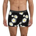 thumbnail image 2 of Bingfone Daisies Flowers Men's Underwear - Casual Stretch Boxer Briefs-Medium, 2 of 7