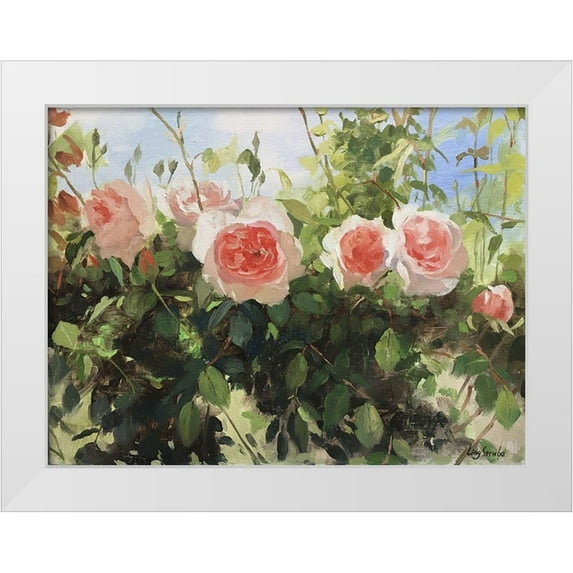Strube, Ling 14x12 White Modern Wood Framed Museum Art Print Titled - Garden Rose IV