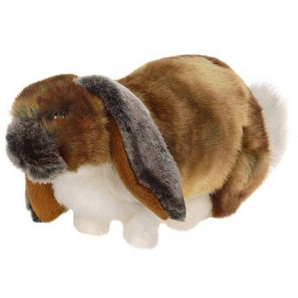 plush holland lop