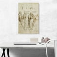 thumbnail image 2 of ARTCANVAS Studies of the Human Body - Muscles of the Shoulder, Arm and Neck Canvas Art Print by Leonardo da Vinci - Size: 26" x 18" (1.50" Deep), 2 of 9
