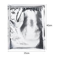 thumbnail image 1 of Sac Alimentaire Isolé, 3 Types 5 Pcs/ensemble Sac de Rangement Alimentaire Isolé en Aluminium Refroidisseur Thermique Argenté, 1 of 5