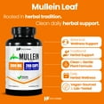 thumbnail image 2 of HealthFare Mullein Leaf Extract 3000mg | 200 Vegan Capsules | Extra Strength Herbal Supplement | Supports Wellness & Balance | Non-GMO, Gluten-Free | Made in USA, 2 of 8