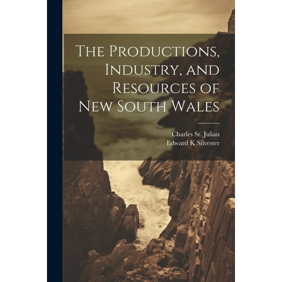 The Productions, Industry, and Resources of New South Wales (Paperback)