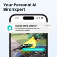 thumbnail image 3 of Birdfy Smart Bird Feeder with Camera, 60FPS Smooth Video, AI Bird Identification & Instant Alerts, Auto Capture, Perfect Gift for Bird Lovers, 3 of 7
