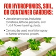 thumbnail image 4 of Botanicare Tomato Synthetic Fertilizer, 1 gal, 4 of 9