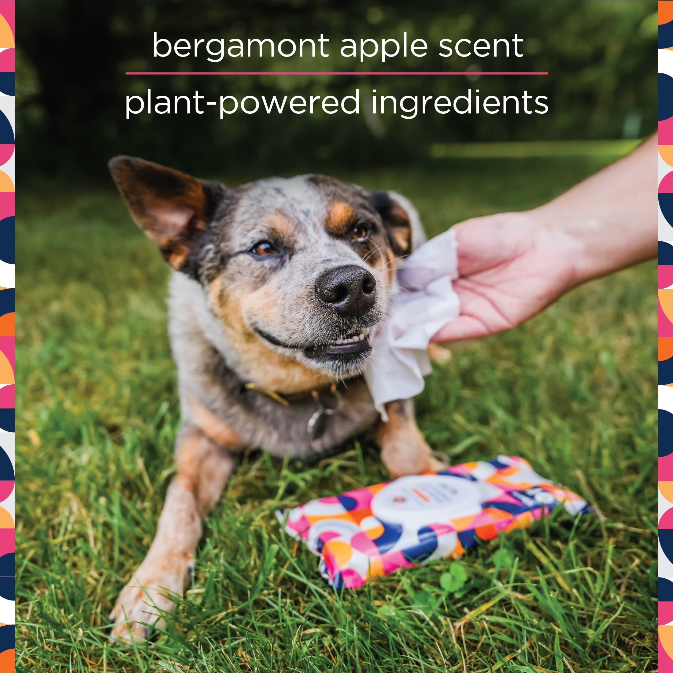 (5 pack) Pet Life Unlimited Cleansing Dog Wipes, Bergamot Apple, 40ct