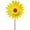 B, variant on Outdoor Windmills Sunflower shaped Large for Garden Yard and Party Decor Colorful and Durable