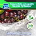 thumbnail image 4 of TP Plastic 11" x 17" Clear Plastic Produce Bags on Roll – Disposable Food Storage Bags for Bread, Groceries, Fruits & Vegetables, 4 Rolls, 240 Bags per Roll, 4 of 8