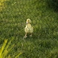 thumbnail image 1 of TABLZONE 1 Rouleau de Filet Multi-Usage Fil Galvanisé Hexagonal Vert pour Jardiniers, 1 of 6
