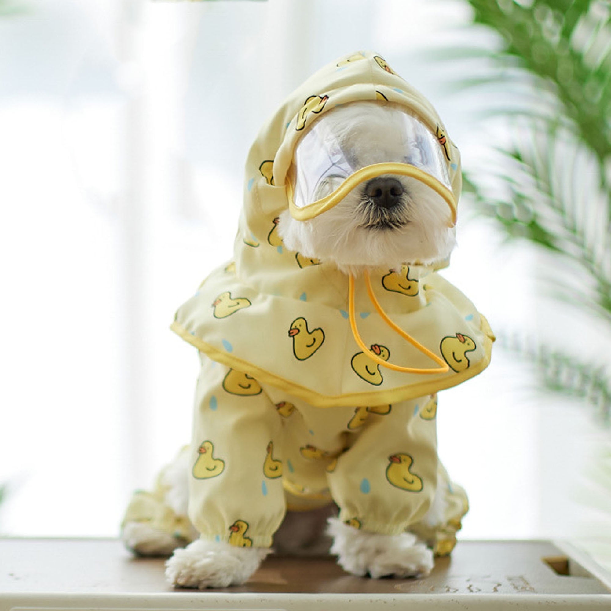 Sunloudy Dog Raincoat, Dog Rain Jacket with Detachable Hat