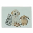 thumbnail image 1 of Dog and Cat Cutting Board, Front Scene of a Bunny Piglet Cat and a Dog Staring, Decorative Tempered Glass Cutting and Serving Board, in 3 Sizes, by Ambesonne, 1 of 2