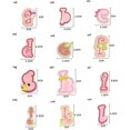 thumbnail image 2 of patch De Repassage Rose Lettres 26 Pices A-z Lettre Patch Forme Animale Motif Bricolage Repassage Ou Couture Patch Jeans Veste Sac Dos Applicatio, 2 of 5