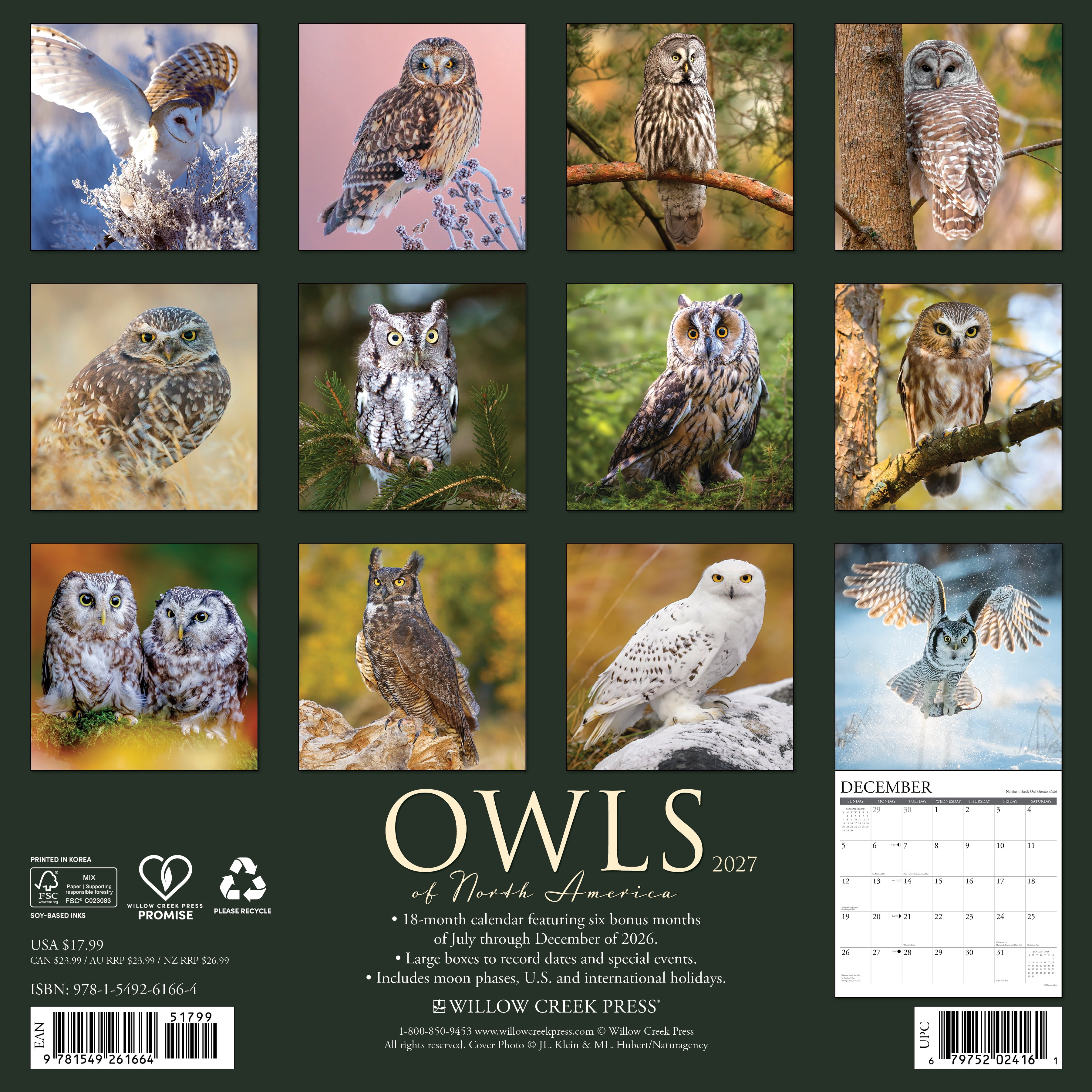 Willow Creek Press, Owls 2027 Wall Calendar