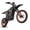 Orange, variant on QWAYQ Electric Dirt Bike for Teens & Adults, 2600W Peak Mid-Drive Motor Ebike with 48V 20.8Ah Removable Battery, 40 MPH Off-Road Fat Tire Electric Motorcycle, Hydraulic Brakes
