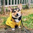 thumbnail image 4 of BR Chubasquero para mascotas - XL, chaqueta impermeable para perros con capucha - Productos para mascotas, 4 of 5