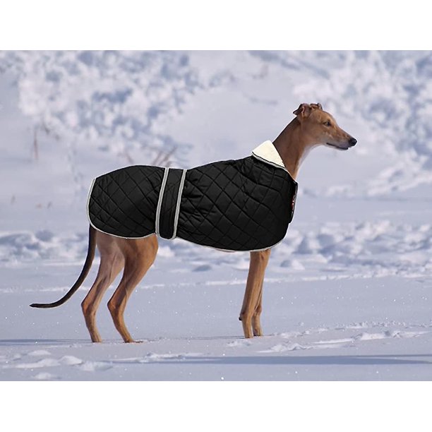 Cálido Abrigo Galgo Acolchado Térmico Con Agujero De Arnés. Abrigo de invierno para perro con cálido forro polar. Apariencia para perros al aire libre -negro-l