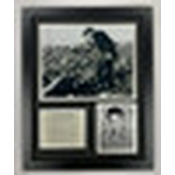 Legends Never Die Elvis Presley Performing Live Collectible Framed Photo Collage Wall Art Decor - 12"x15", Model: 16446U, BLACK AND WHITE