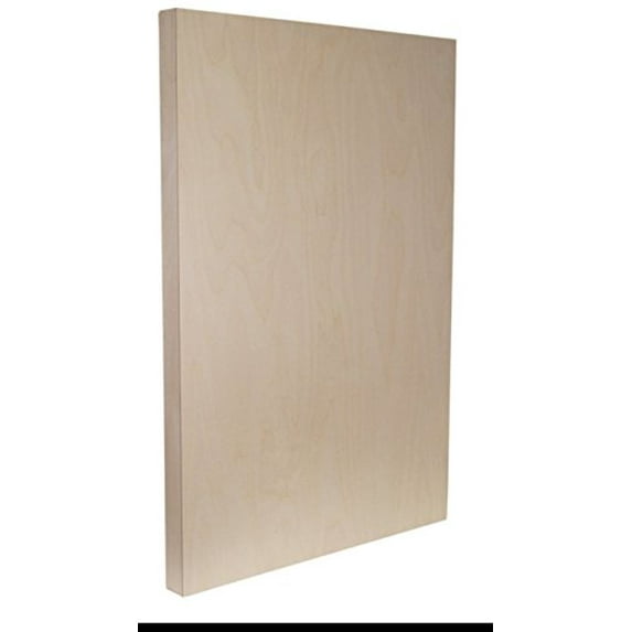 Sunbelt Mfg. Co. 6 pack of 2" deep Cradled painting Panels. (multiple sizes) (12x16x2")