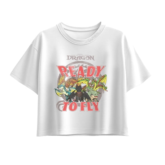 How to Train Your Dragon - Dragons of Berk - Youth Girl Short Sleeve Boxy Tee