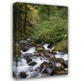 thumbnail image 1 of Erin Berzel 23x32 Gallery Wrapped Canvas Wall Art Titled - Wahkeena Falls II, 1 of 4