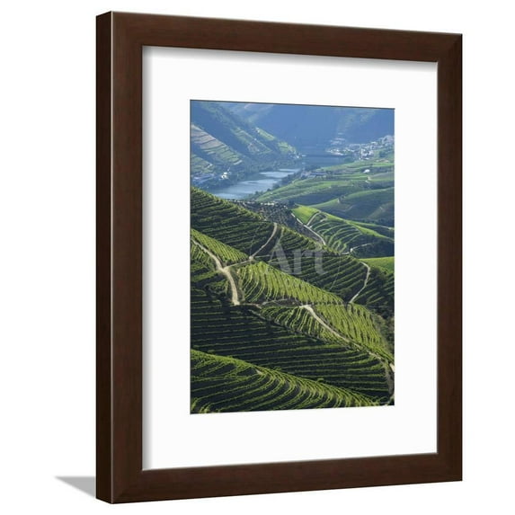 River Douro, Douro Region, Northern Portugal, Scenic Framed Art Print Wall Art by Alan Copson Sold by Art.Com