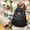 Black without pendant, variant on New Trendy Casual Backpack Korean Version Of The Men And Women Couples Backpack Fashion Contrasting College Student Schoolbags