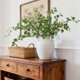 thumbnail image 2 of 5 plantas artificiales de tallo de hojas de eucalipto para decoración de primavera, hojas falsas, ramas verdes, arbustos verdes, follaje sintético de seda, tallos para, 2 of 4