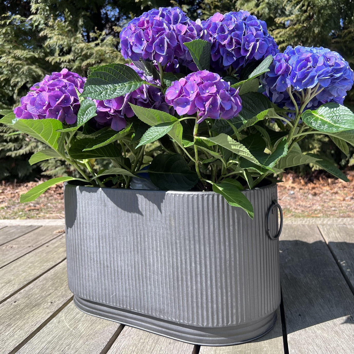 WHW Whole House Worlds French Country Style Oval Planters, Set of 2, Corrugated Bellies, Stepped Base, Rolled Rims, 14.25 and 18.5 Inches, Iron
