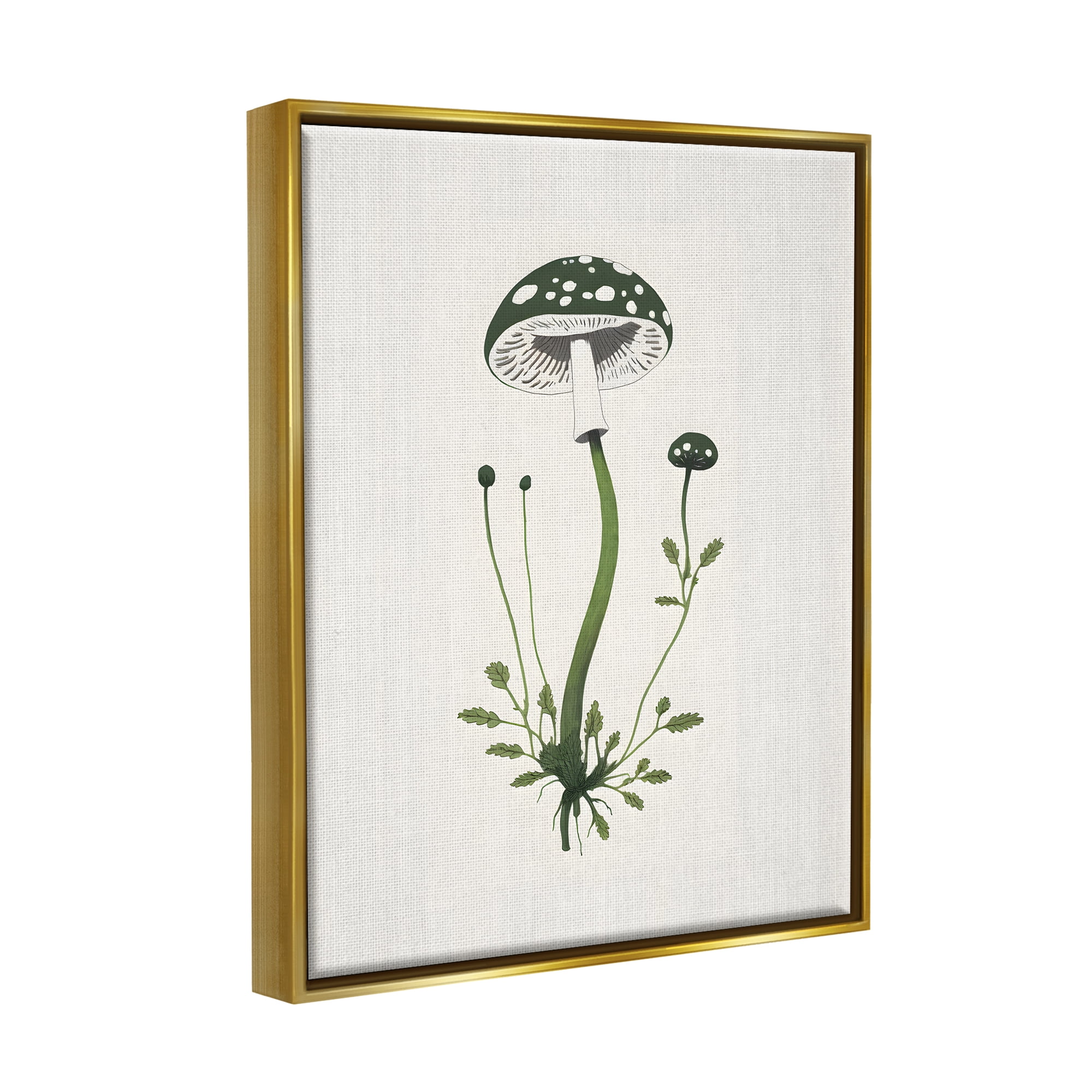 Stupell Industries Minimal Spotted Mushroom Botanical & Floral Painting Gold Floater Framed Canvas Art Print Wall Art, 17 x 21