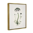 thumbnail image 4 of Stupell Industries Minimal Spotted Mushroom Botanical & Floral Painting Gold Floater Framed Canvas Art Print Wall Art, 25 x 31, 4 of 10