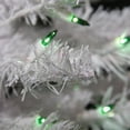 thumbnail image 2 of northlight seasonal iridescent 2' white pine artificial christmas tree with 35 single colored lights, 2 of 2