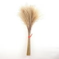 thumbnail image 4 of 100Pcs Rustic Dried Pampas Grass Reeds Arrangements Vase Filler, 4 of 10